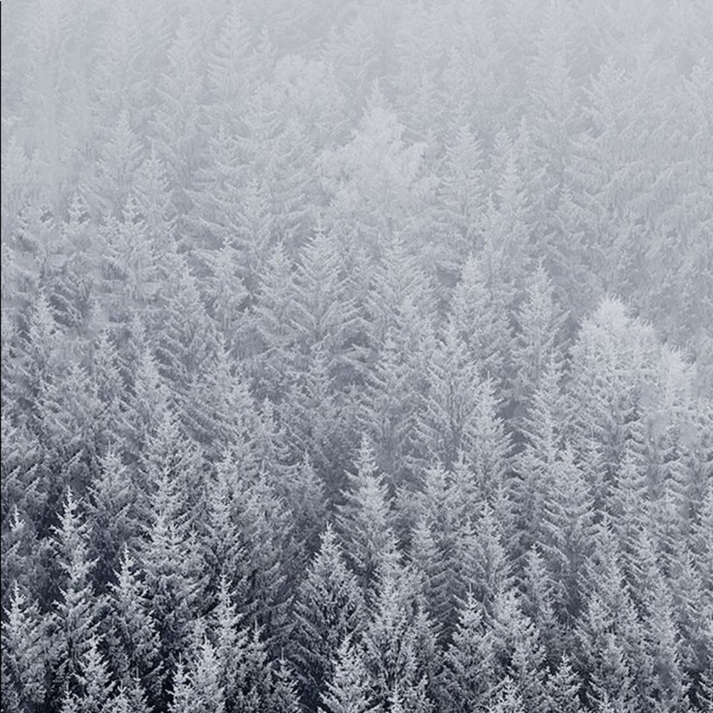 Meet your Posher, Rafael